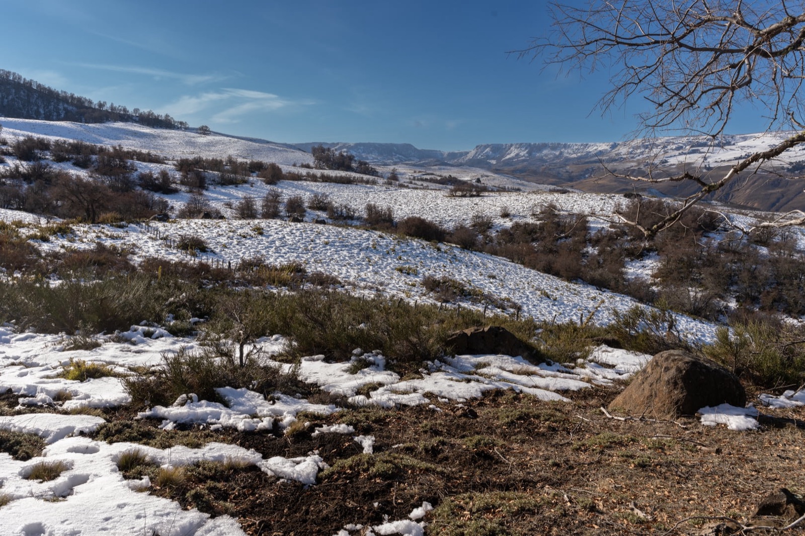 Pradera nevada