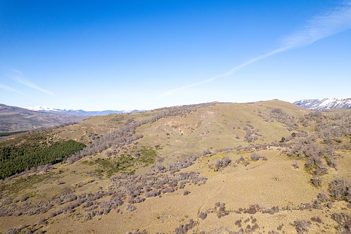 Praderas de altura y cordillera al fondo.