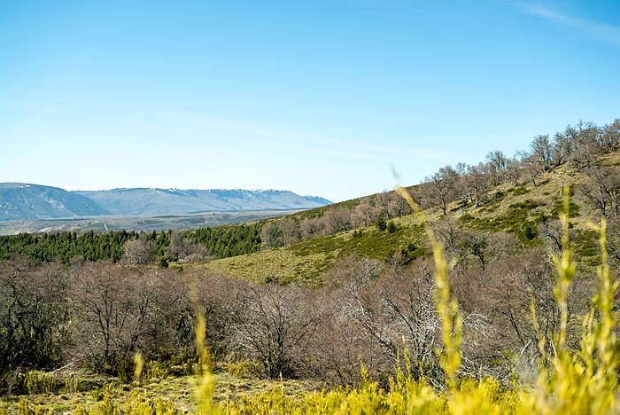 Vegetación y vista abierta hacia el valle.