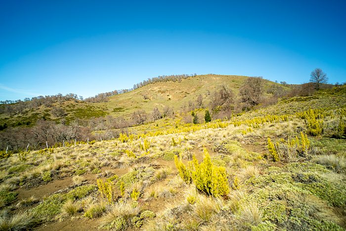 Pradera y loma a nivel de terreno.