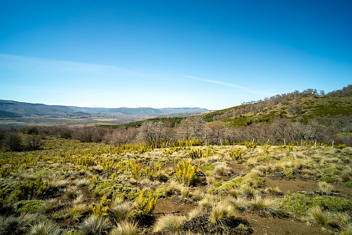 Praderas abiertas con montañas a la distancia.